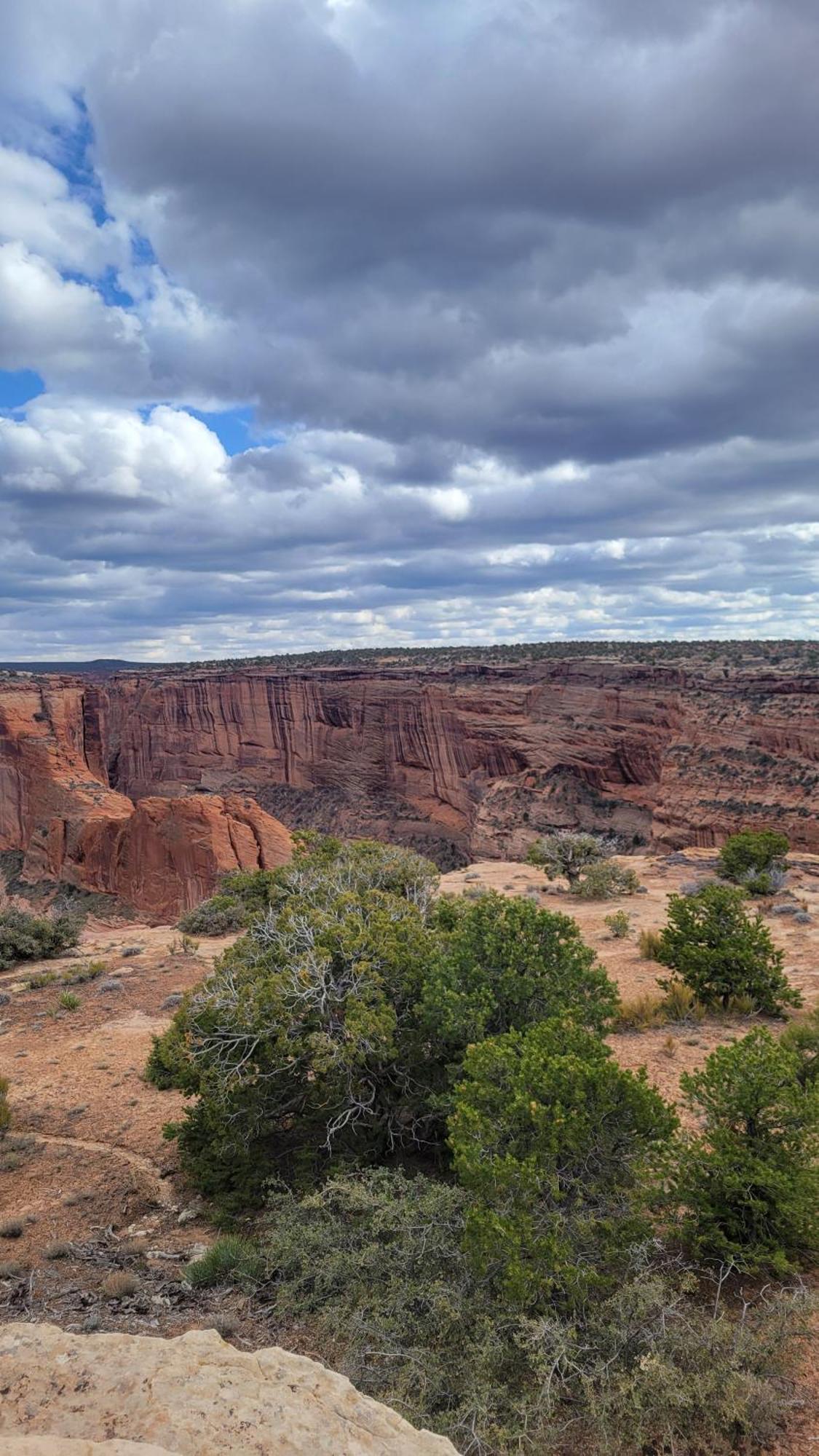 Thunderbird Lodge Чинл Экстерьер фото